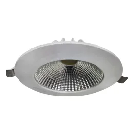10w Fixed Cob Concealed Autonix