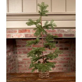 3' Ole Tree