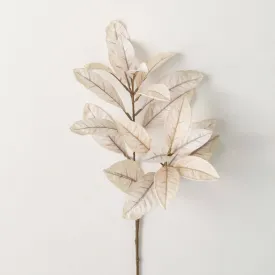 31" Tall Bicolor Croton Spray
