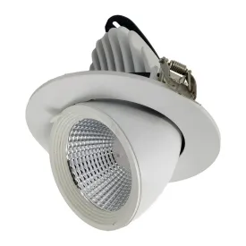 3206-25w-Body white Cob Zoom Lights