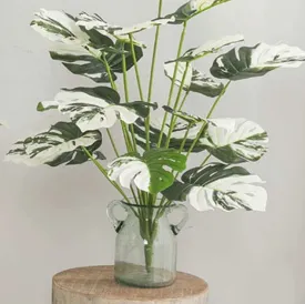 Aesthetic Big Leaves Monstera Plastic Plant for Leafy Space | 2.3 feet
