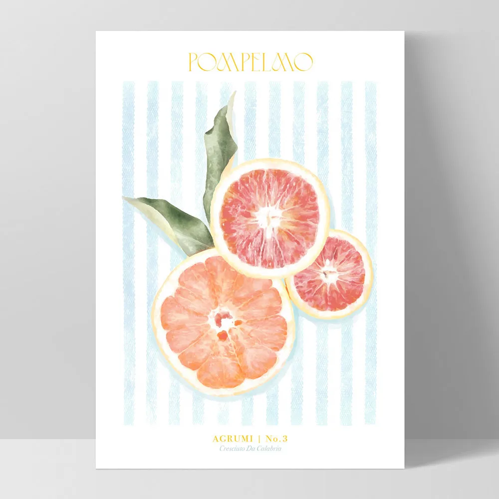 Agrumi No 3 | Grapefruit- Art Print by Vanessa