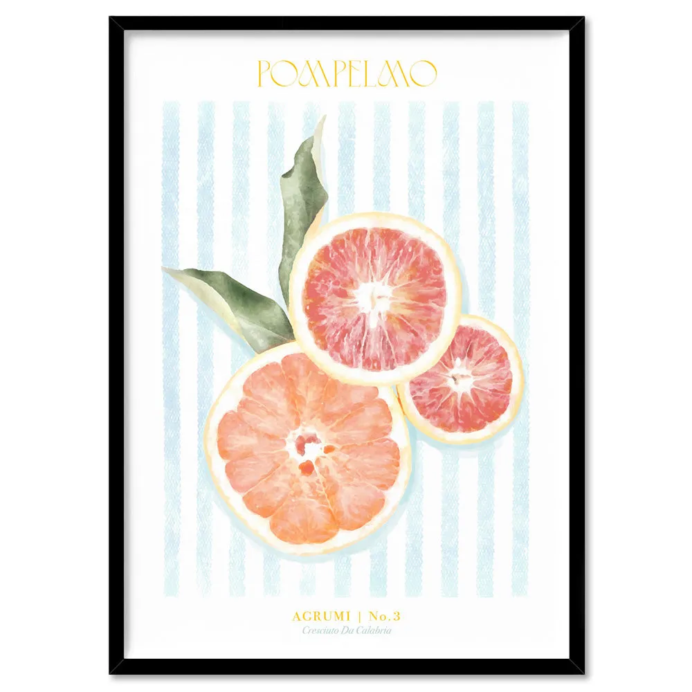 Agrumi No 3 | Grapefruit- Art Print by Vanessa