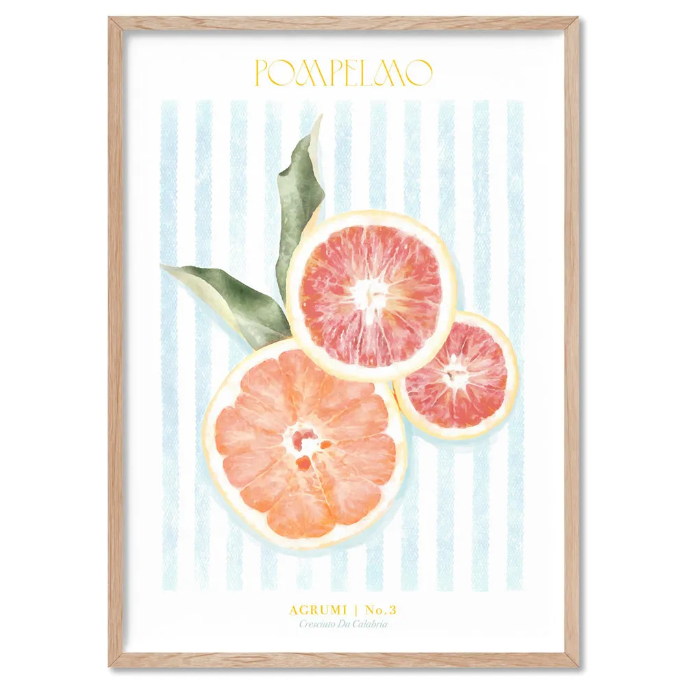 Agrumi No 3 | Grapefruit- Art Print by Vanessa