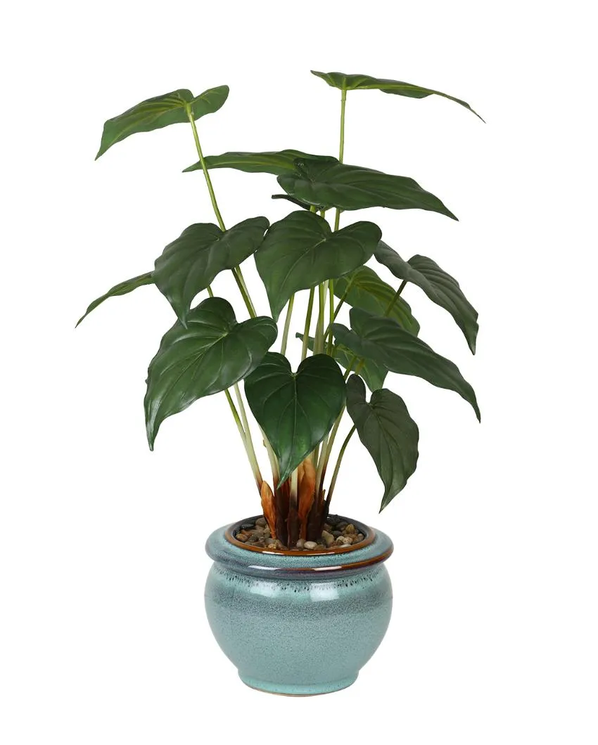 Alocasia Artificial Bonsai Plant with Ceramic Pot | Multiple Colors | 2 feet