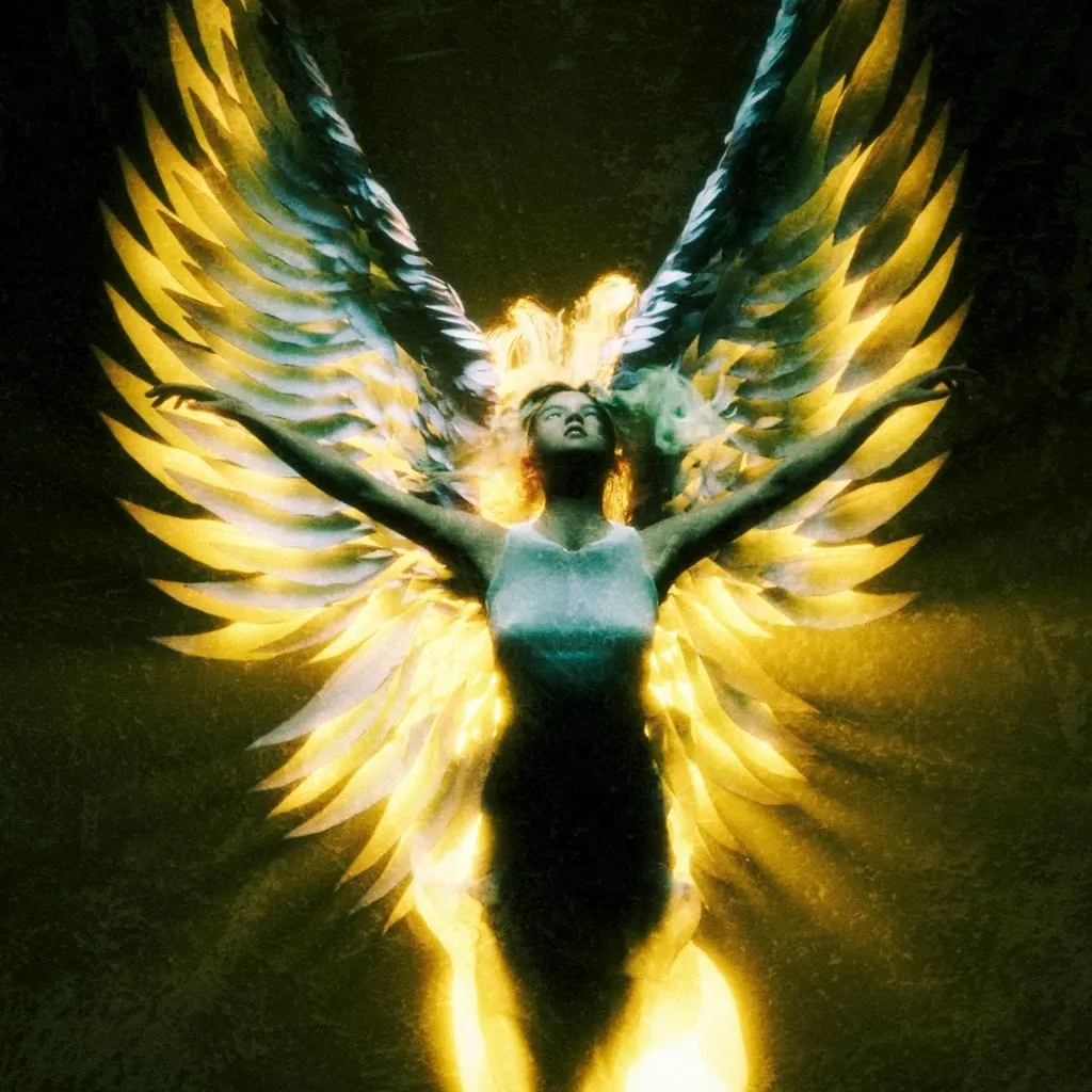 Angel Wings in Awe - G'n Art