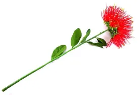 Artificial Pohutukawa Flower with Long Stem - XL size