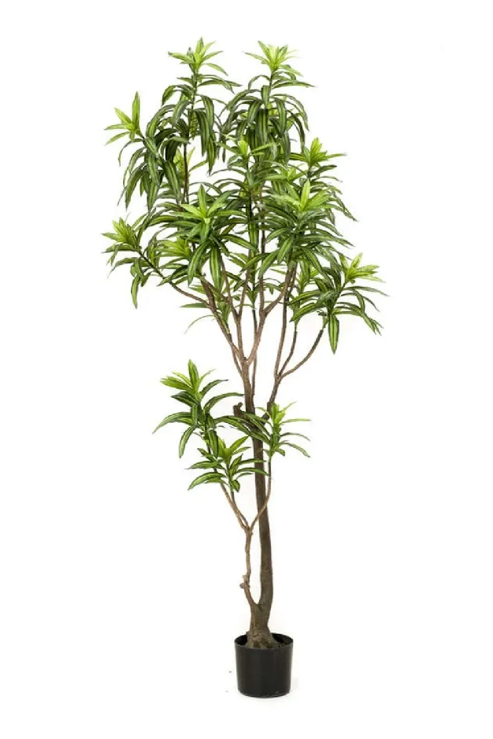 Artificial Potted Green Foliage Set (2) | Emerald Dracaena