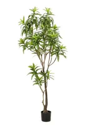 Artificial Potted Green Foliage Set (2) | Emerald Dracaena