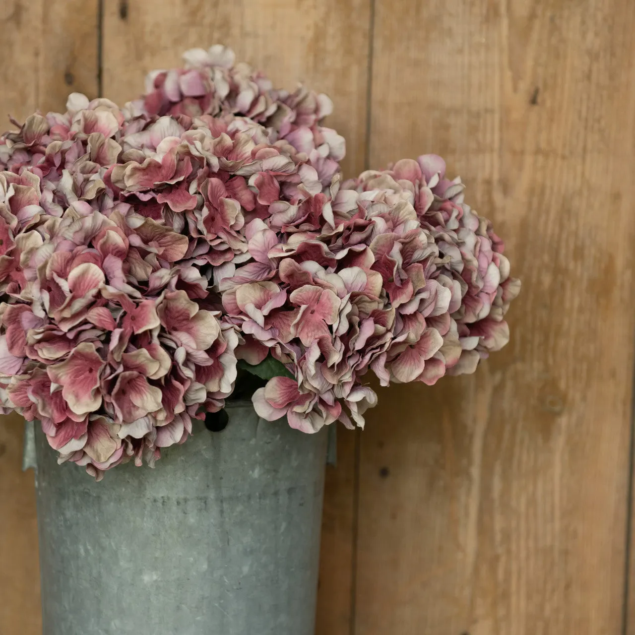 Autumn Mauve 28" Hydrangea Stem