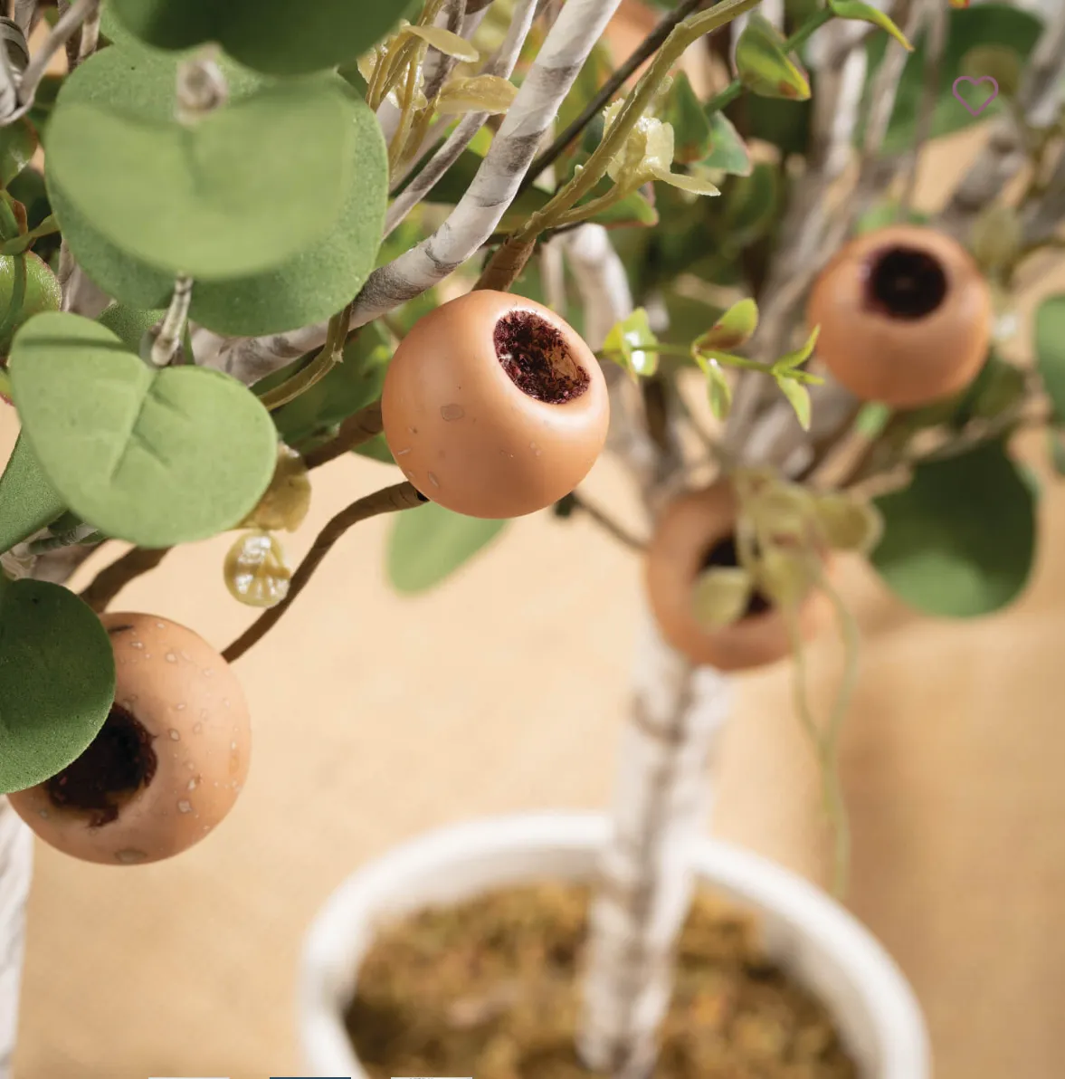 Birch Eucalyptus Topiary SM/LG