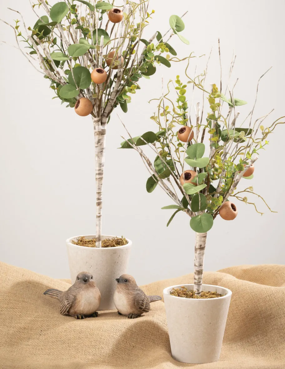 Birch Eucalyptus Topiary SM/LG