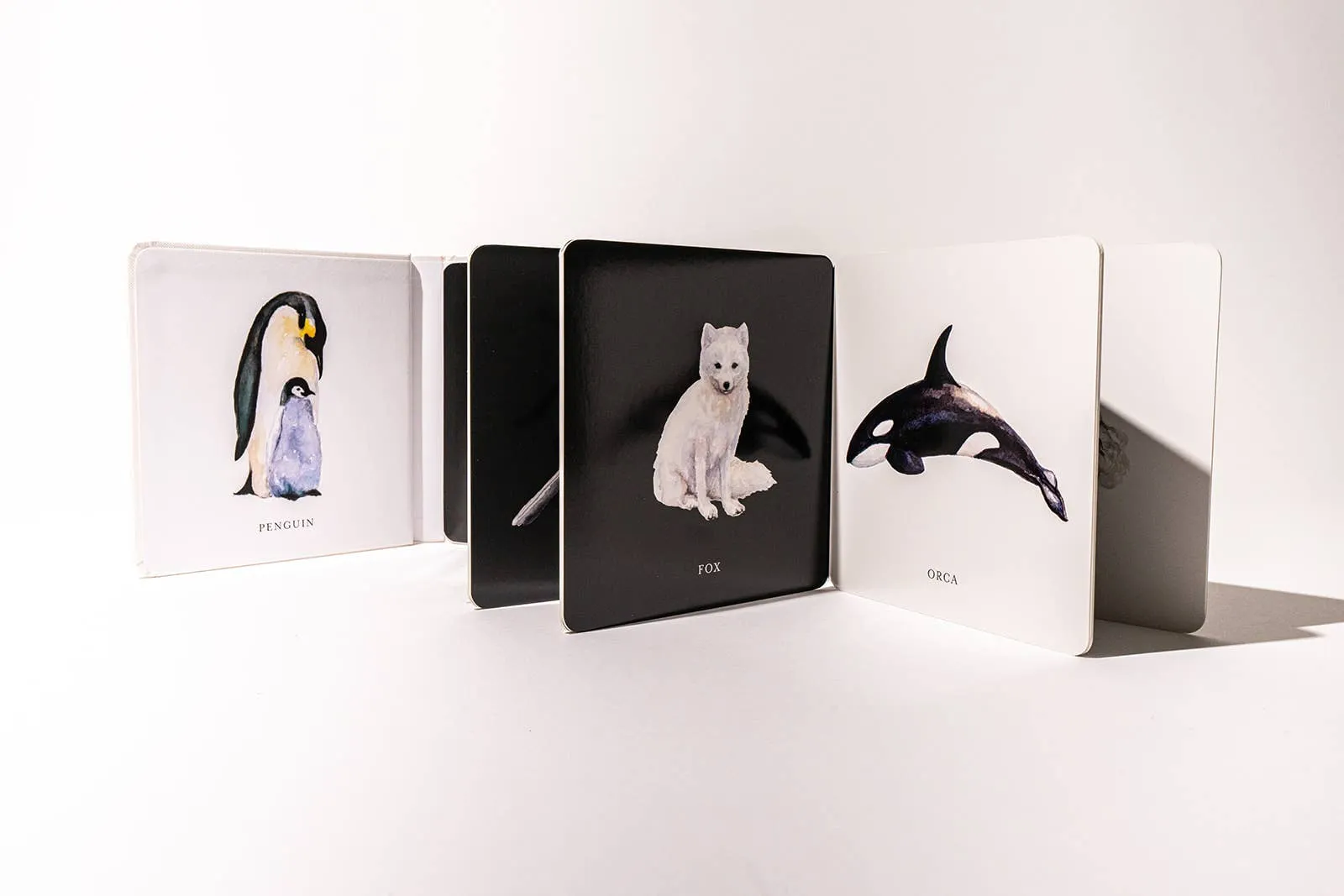 Black and White Book for Baby