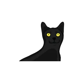 Black Cat