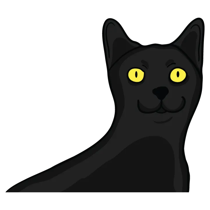 Black Cat
