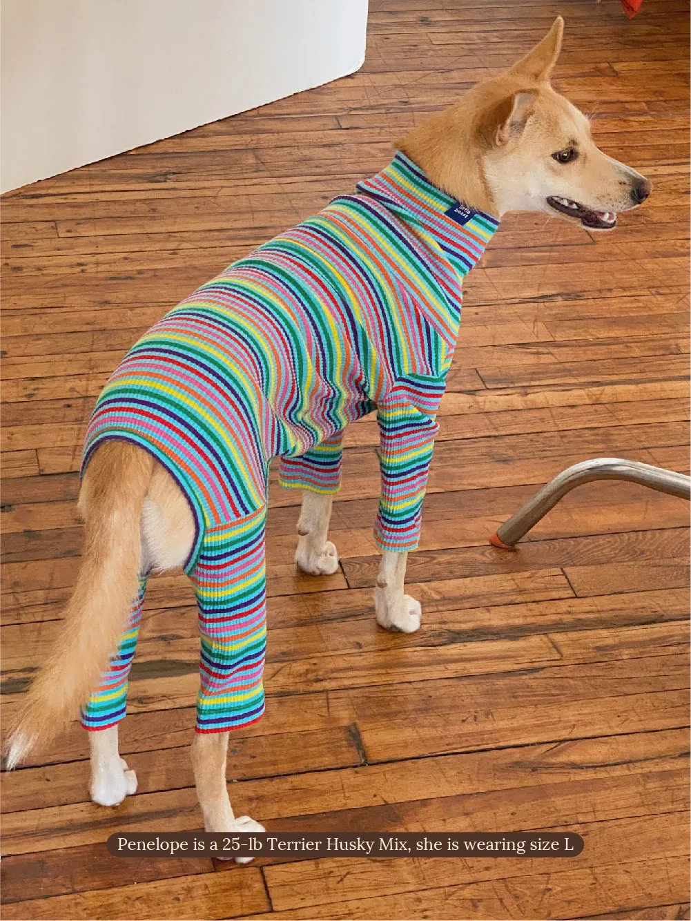 Fabulous Onesie