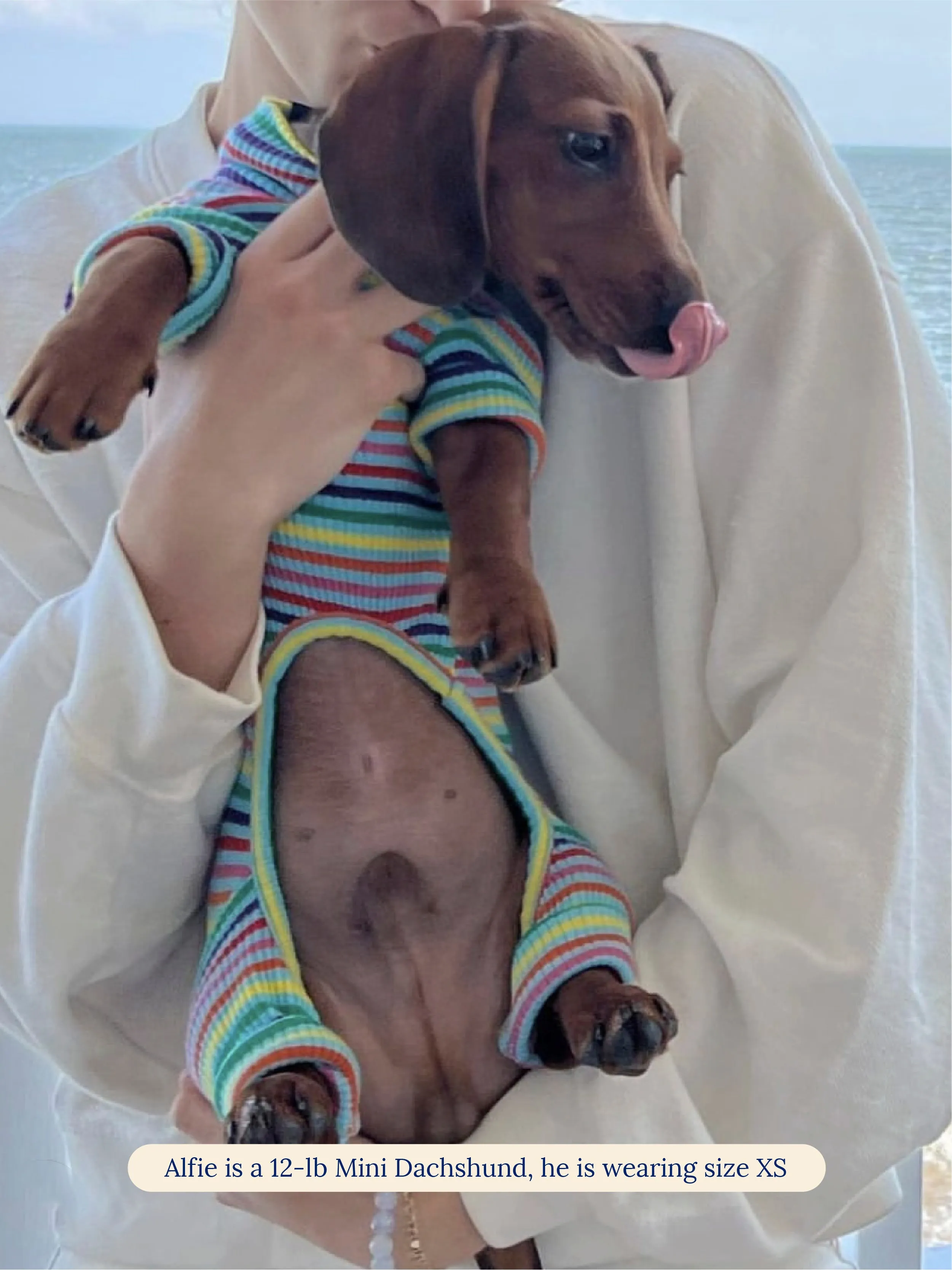 Fabulous Onesie