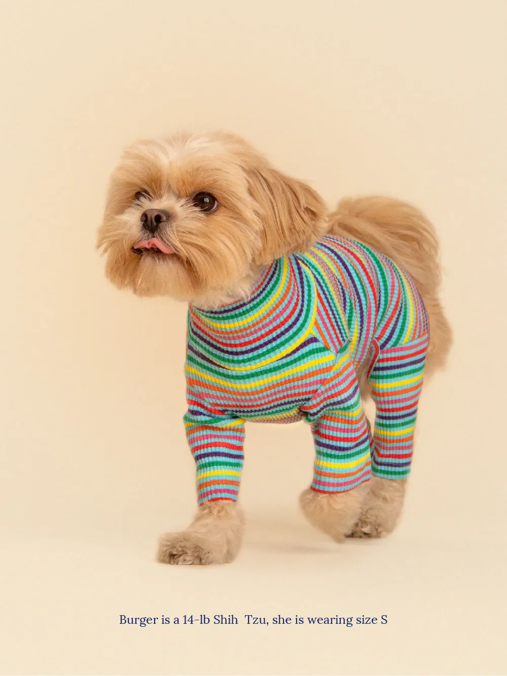 Fabulous Onesie