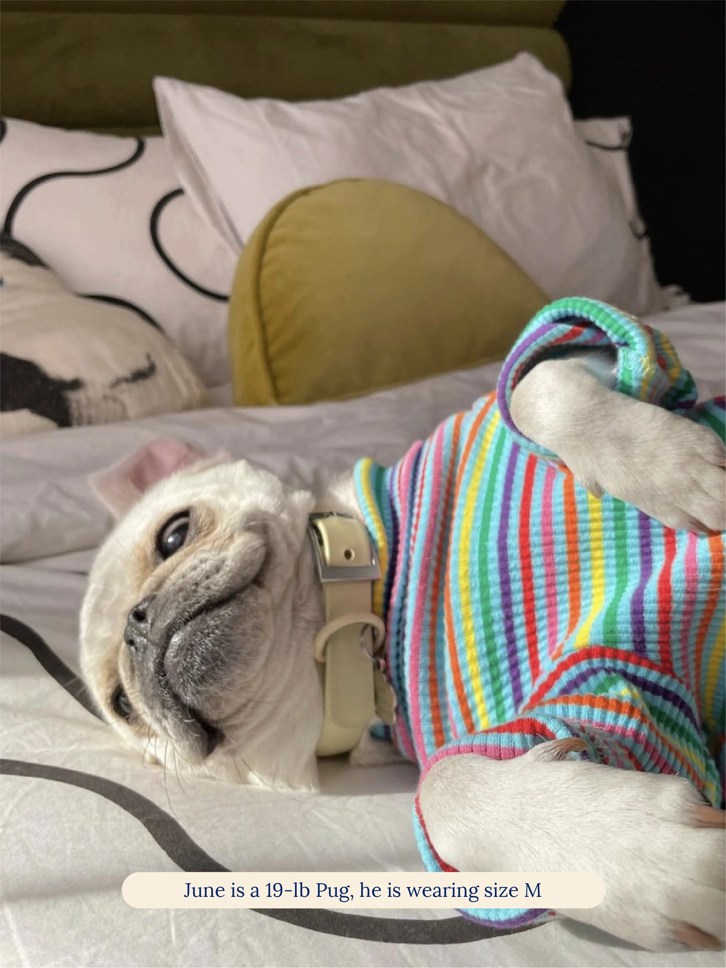 Fabulous Onesie