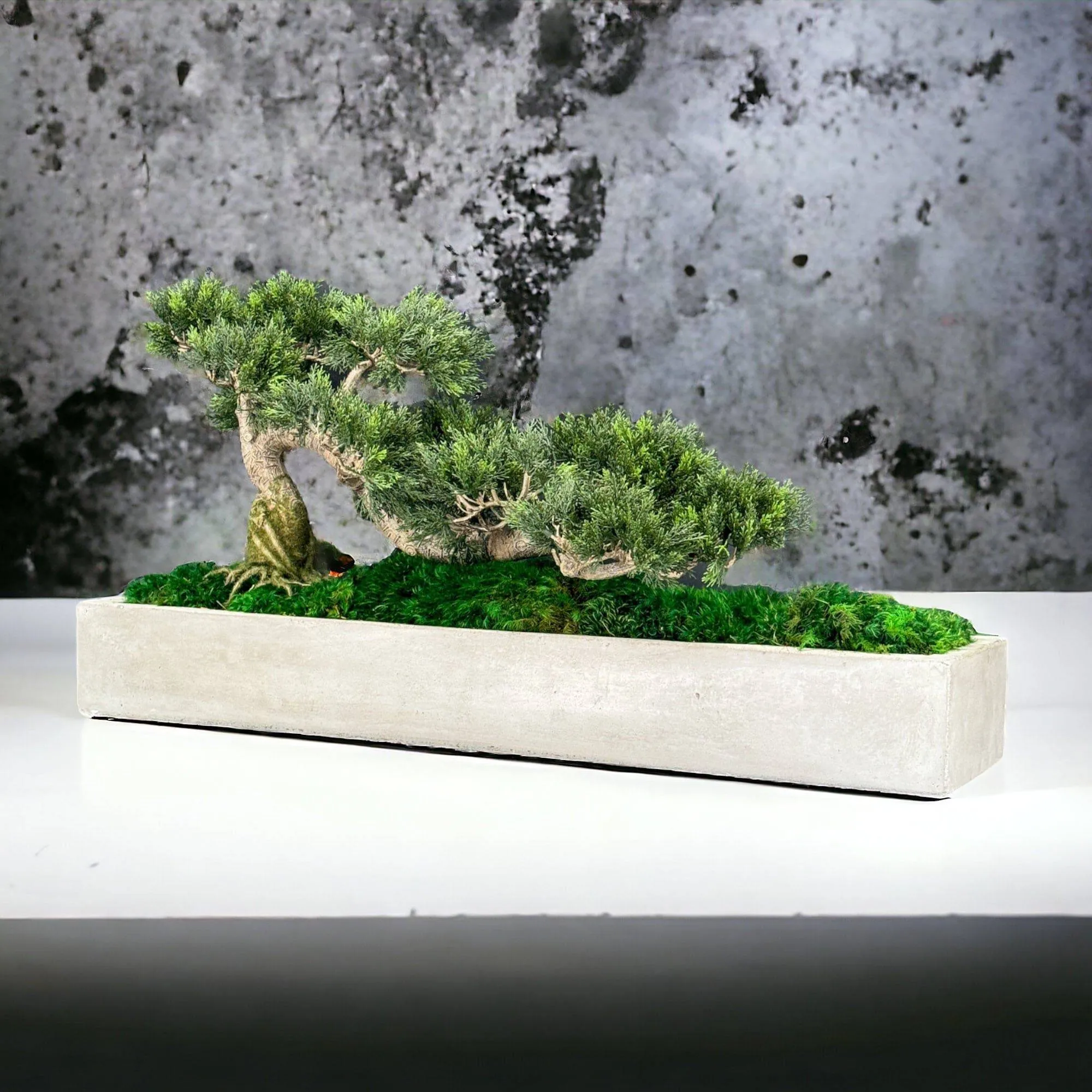 Faux Bonsai Tree in Concrete Planter with Preserved Moss