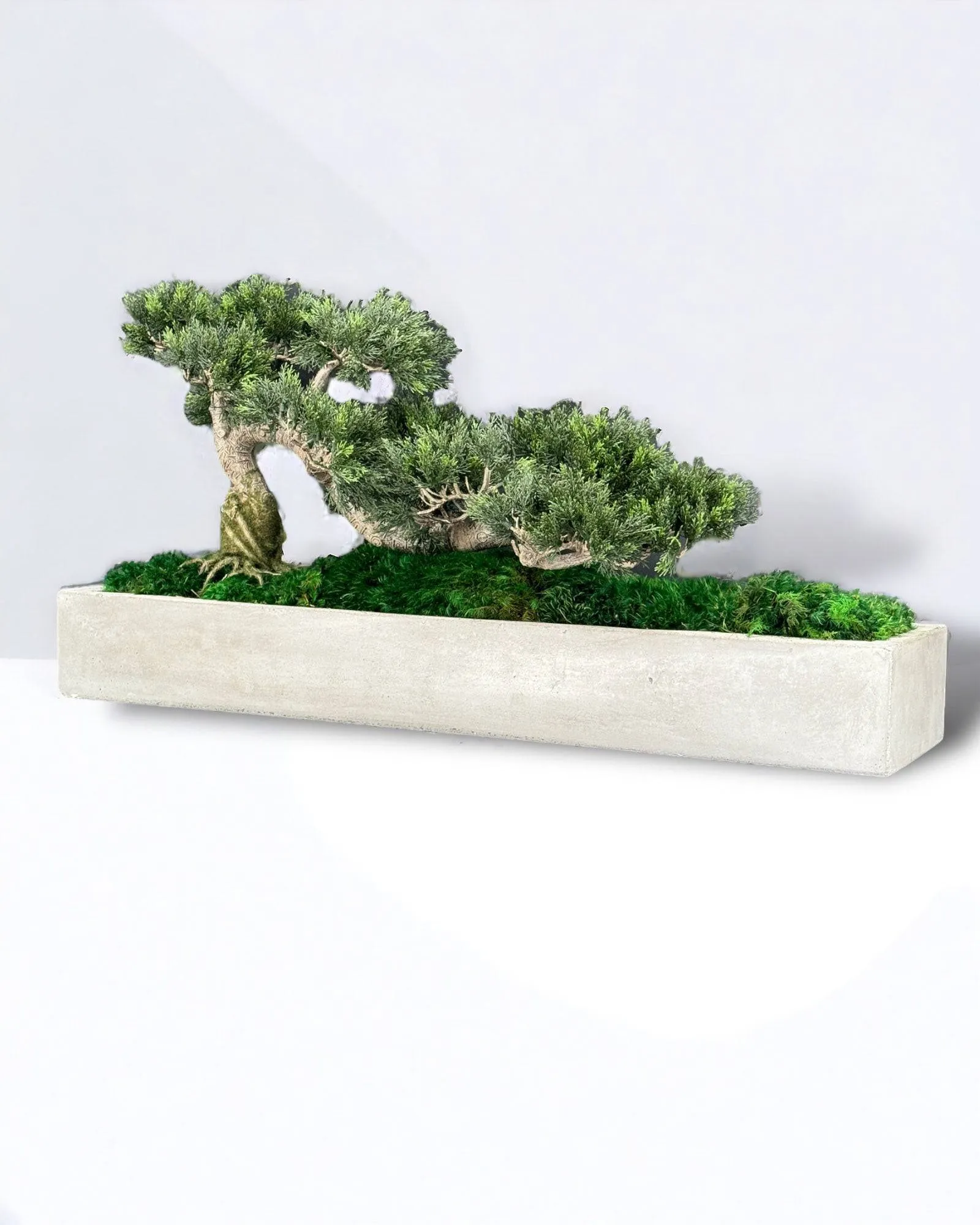 Faux Bonsai Tree in Concrete Planter with Preserved Moss