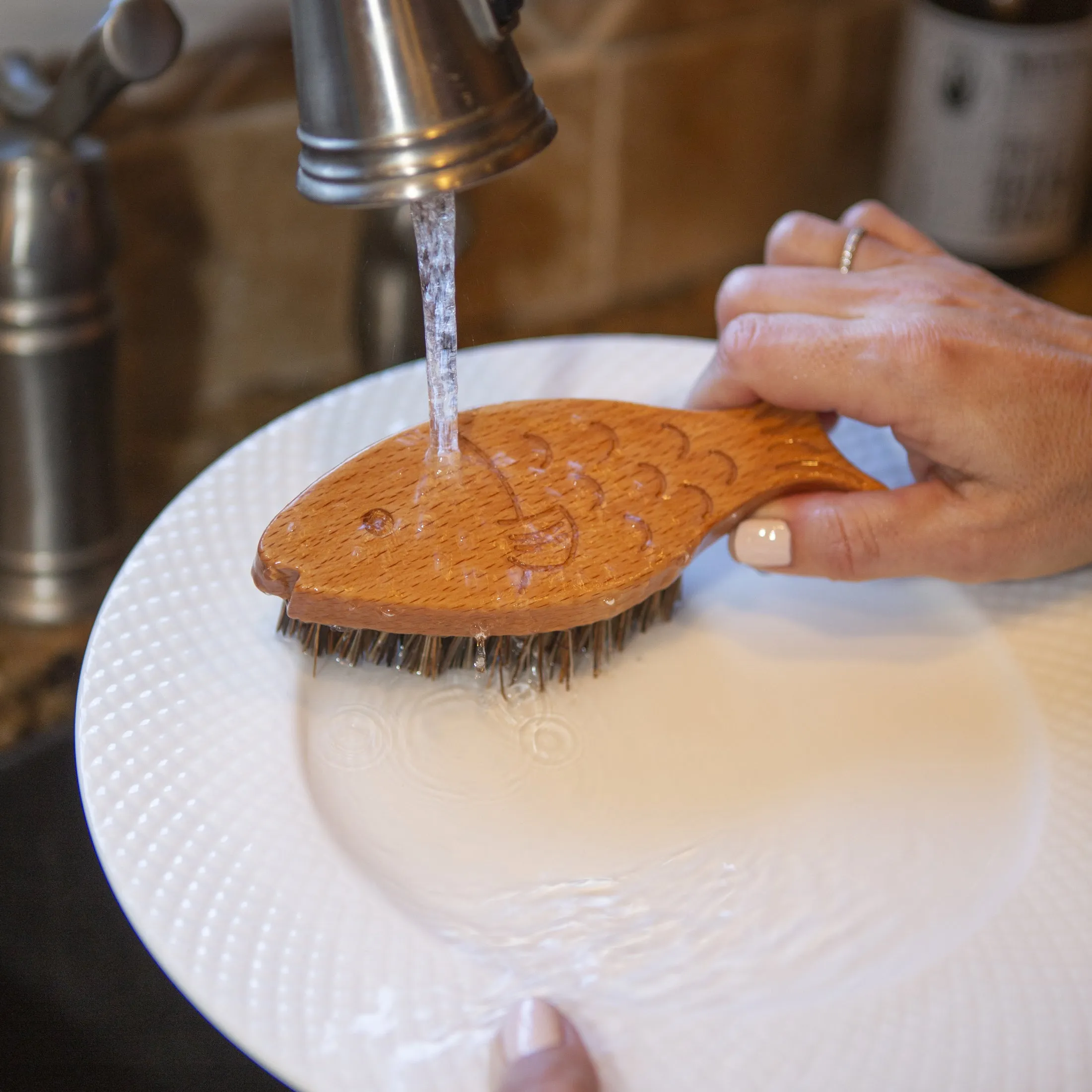 Fish Scrubber