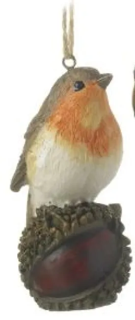 Hanging Robin Sitting On Conker