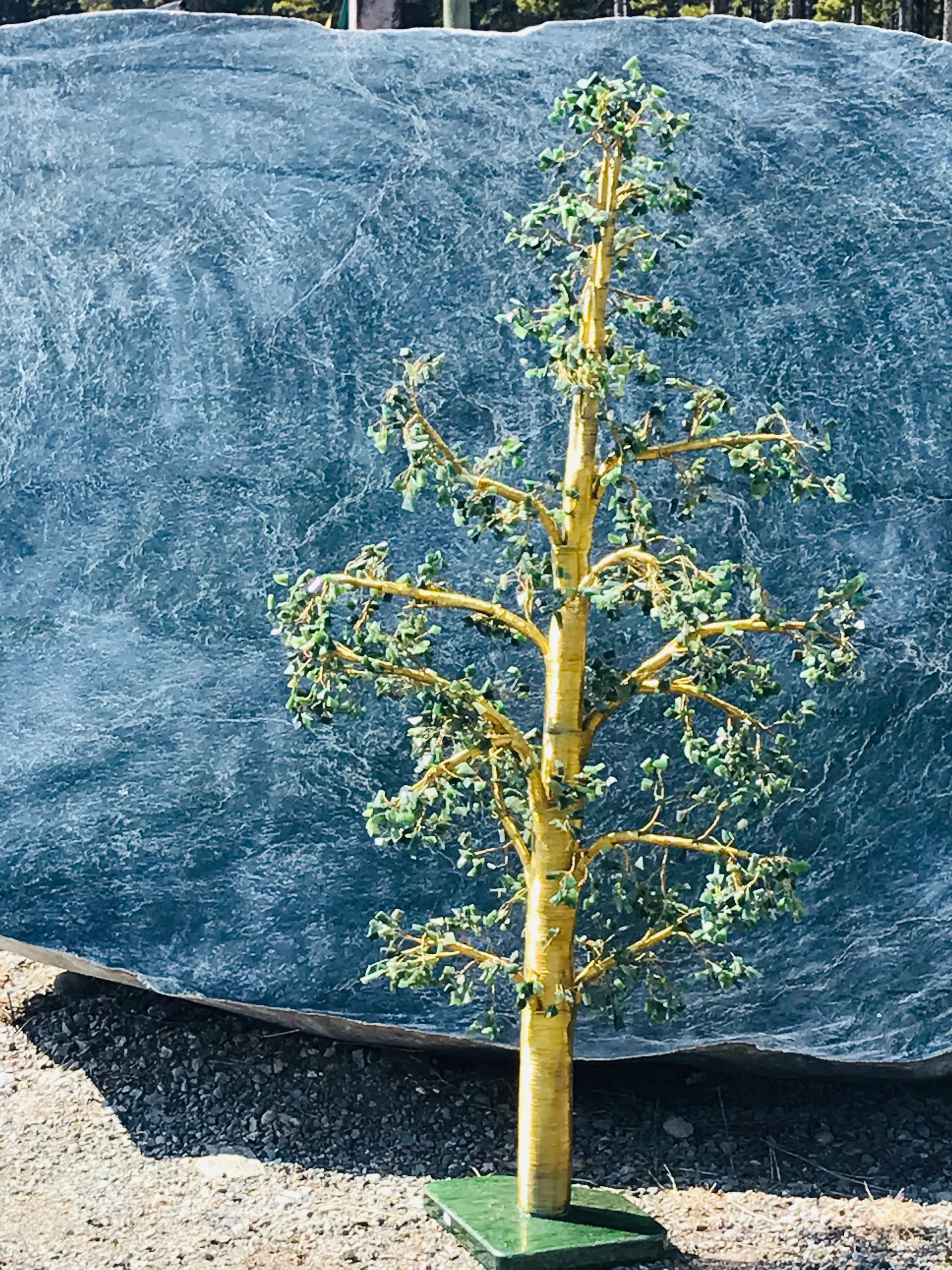 Jade Tree