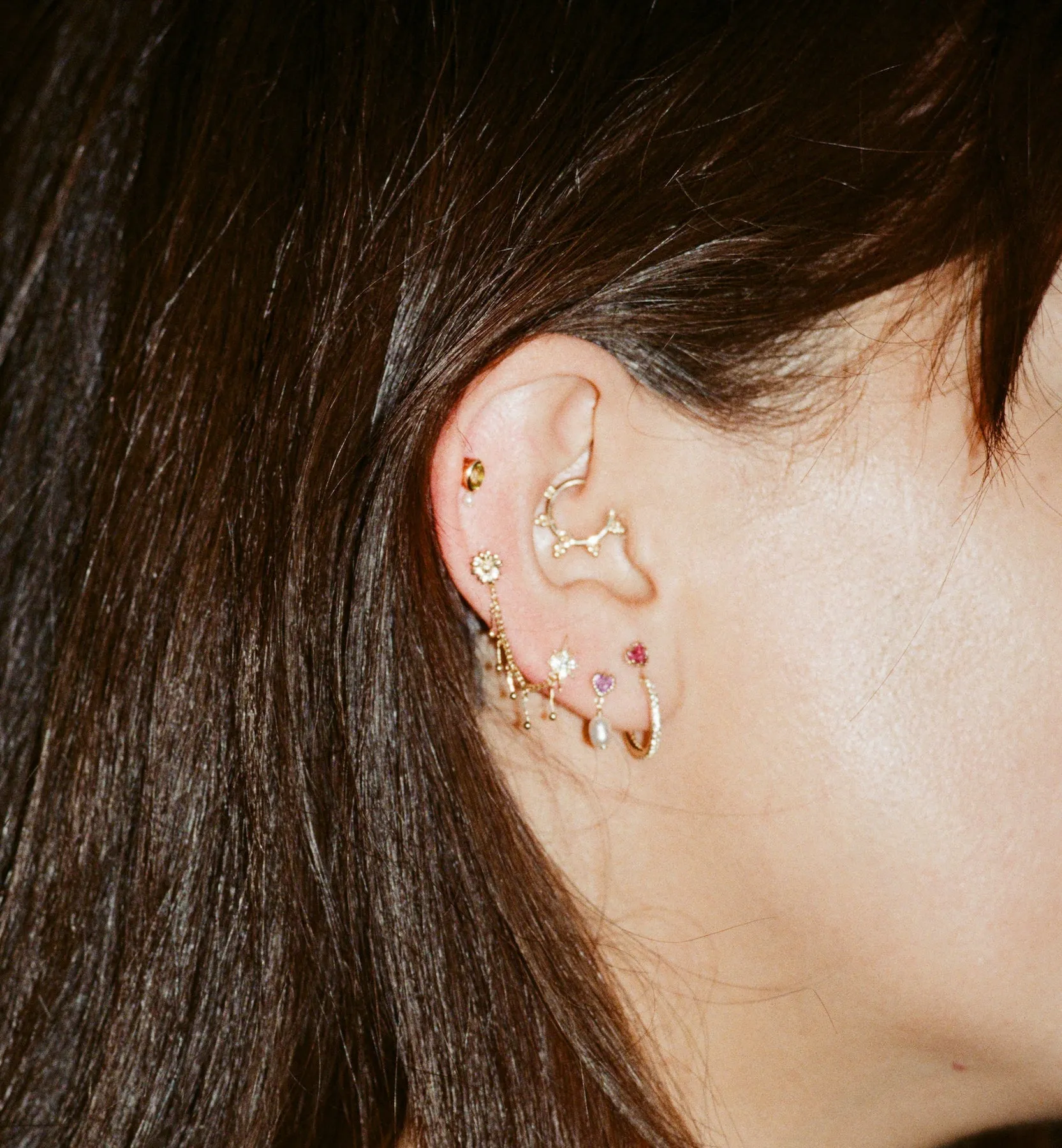 Laurel Wreath Daith Piercing 14K