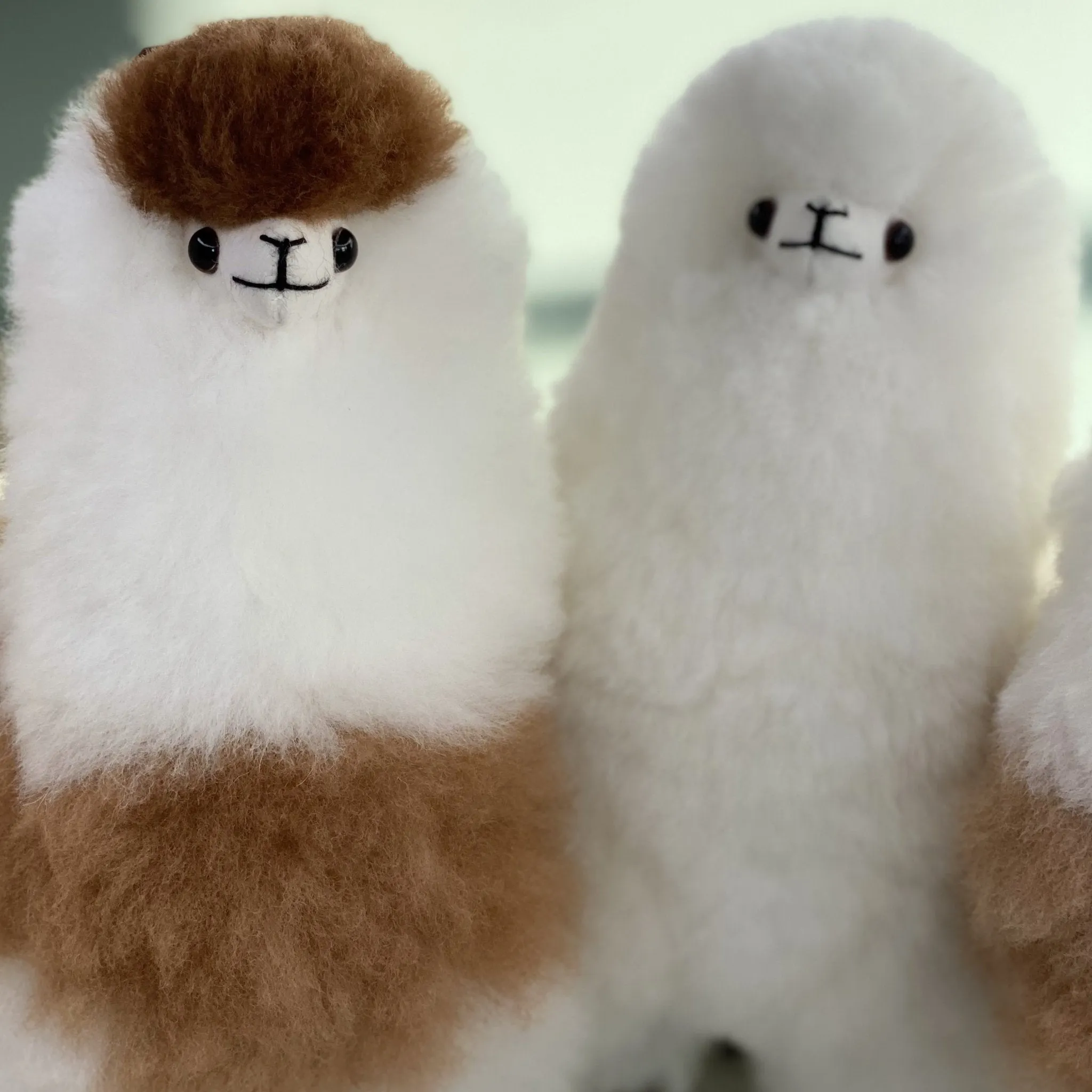 Lovely Llama - Plush Toy
