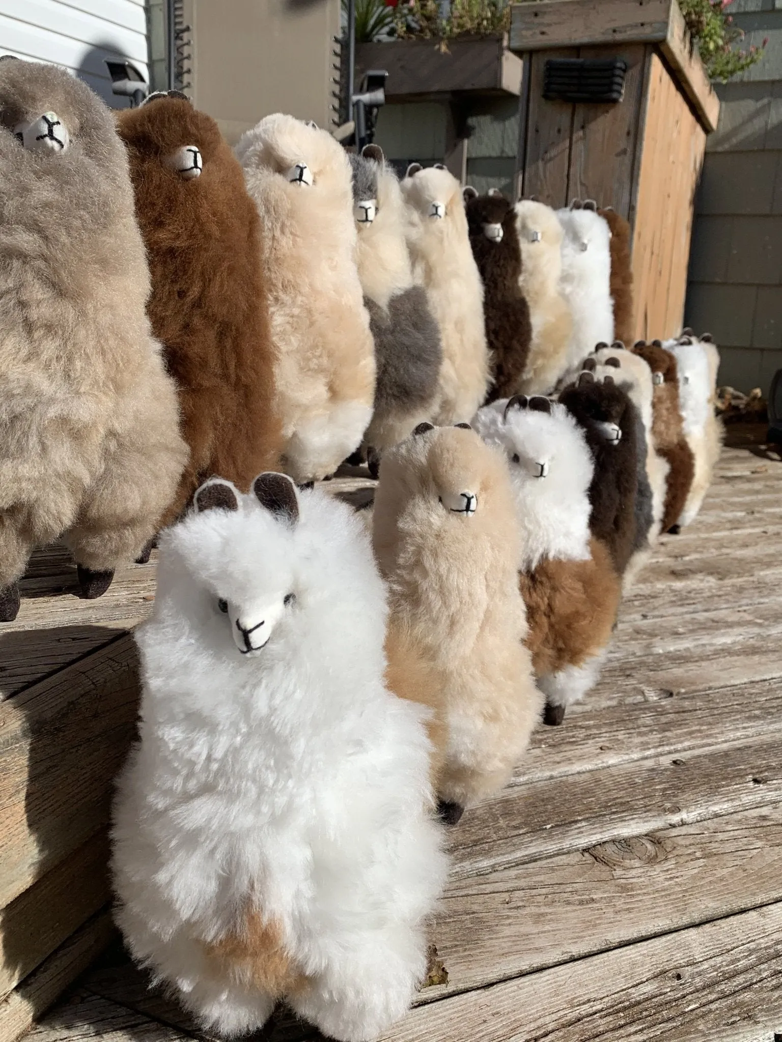 Lovely Llama - Plush Toy