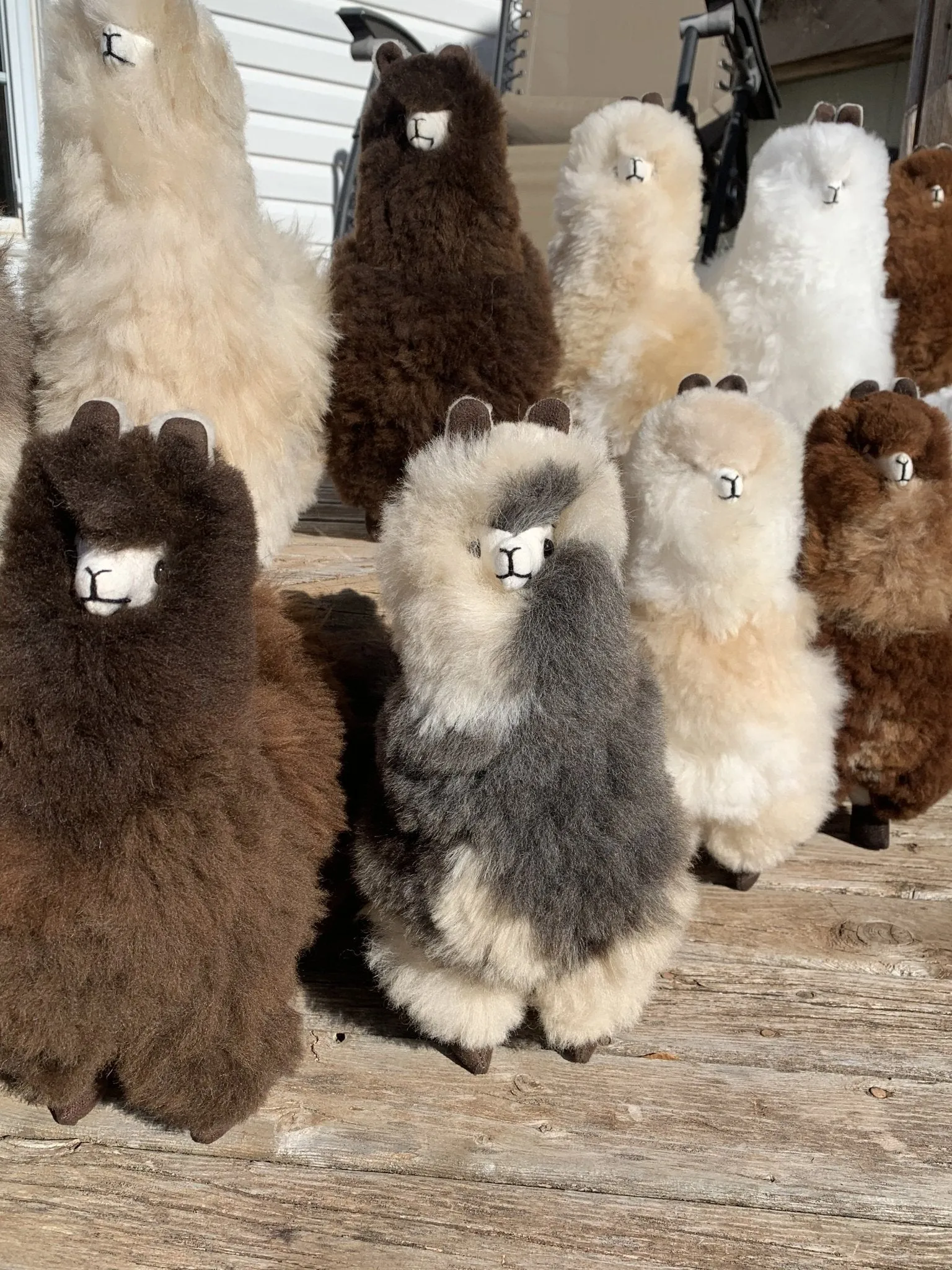 Lovely Llama - Plush Toy