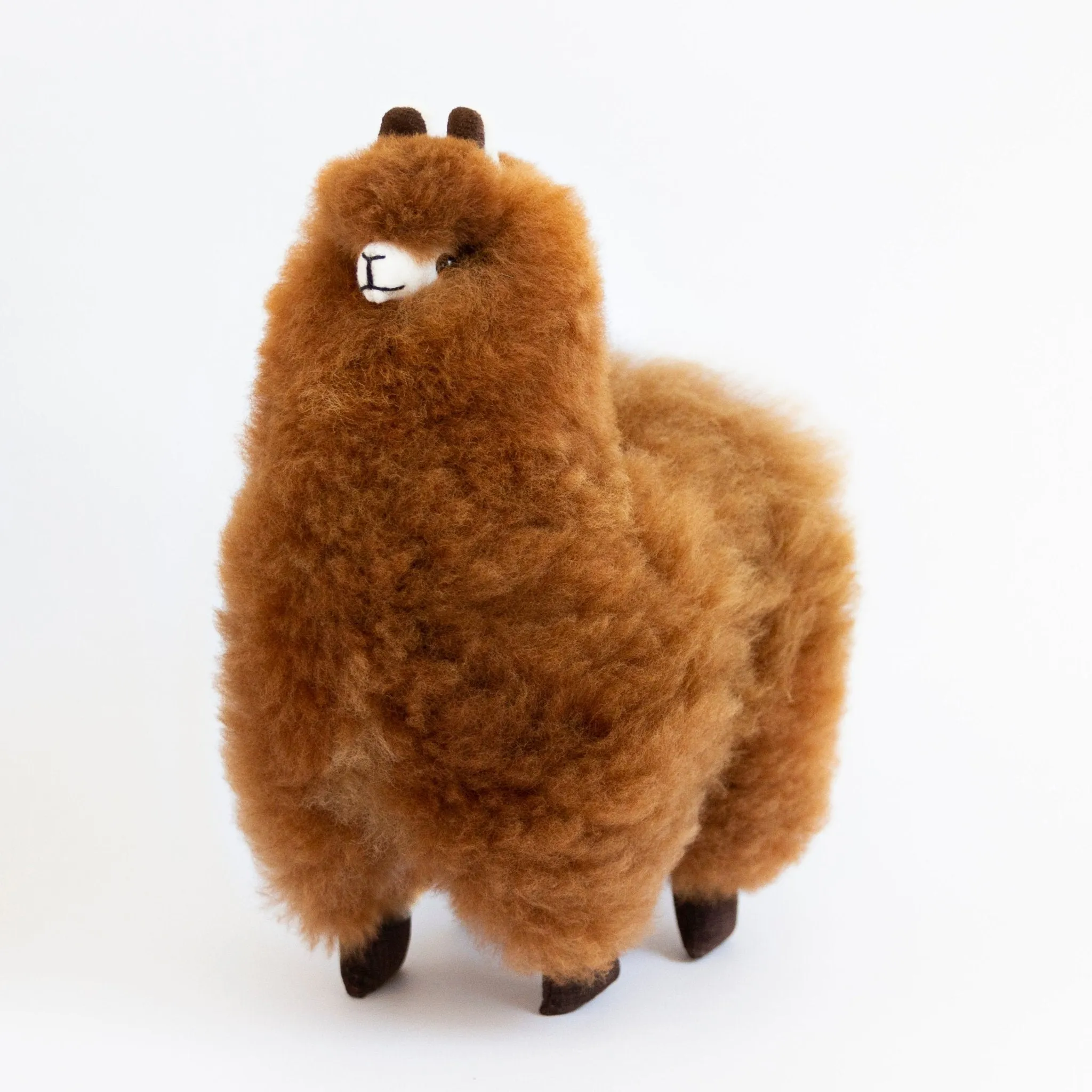 Lovely Llama - Plush Toy