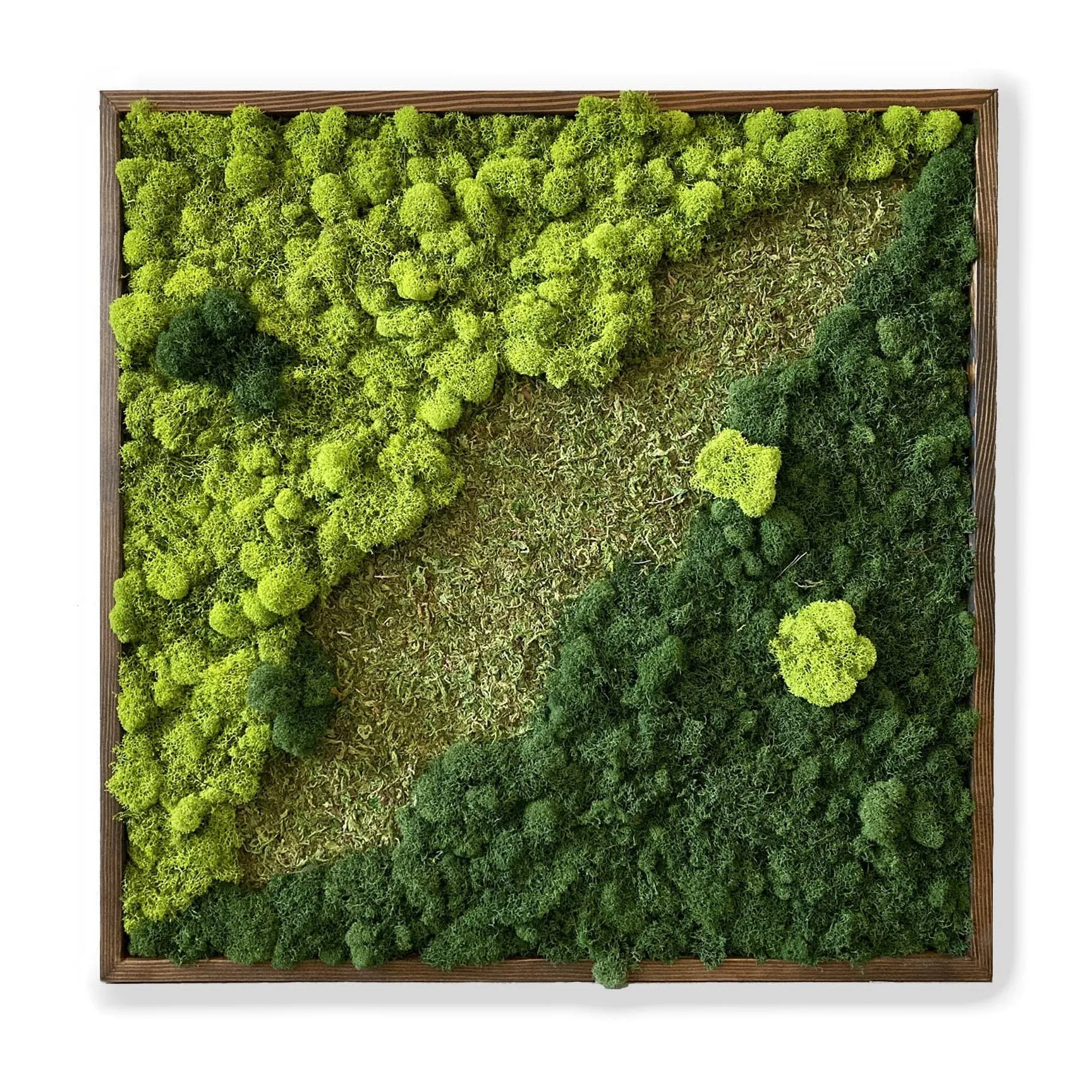 Mixed Moss Wall Art
