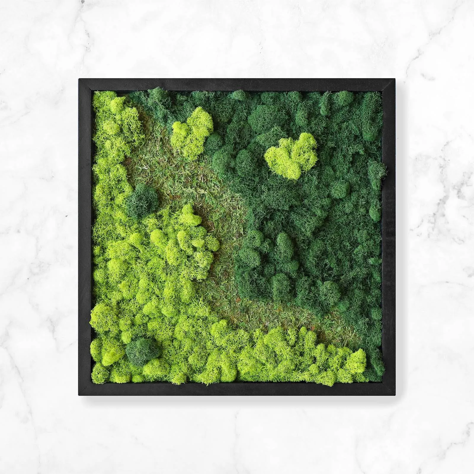 Mixed Moss Wall Art