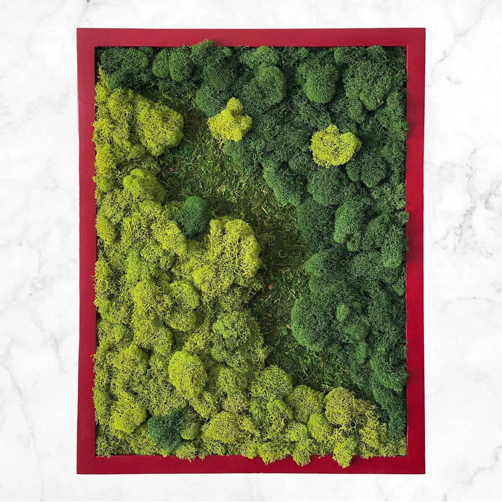 Mixed Moss Wall Art