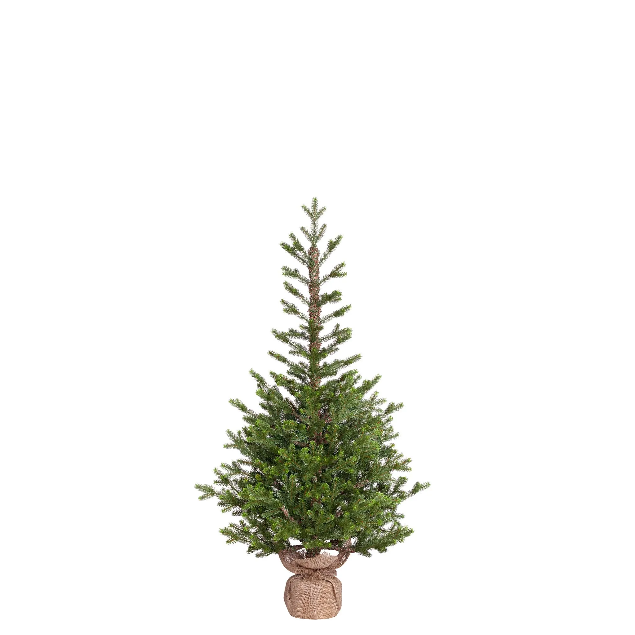 Pierson Medium Potted Christmas Tree