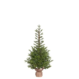 Pierson Medium Potted Christmas Tree