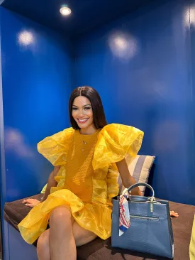 The Golden Ray-Organza trimmed dress