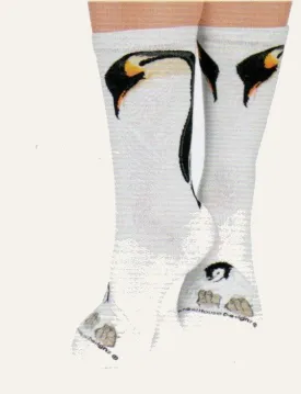 Charming Novelty Penguin and Chick Design Socks by Wheel House